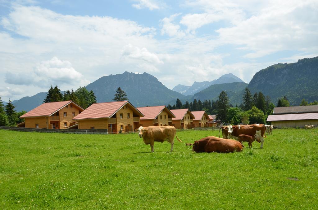 Feriendorf Am Hahnenkamm Reutte Kültér fotó